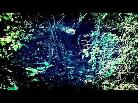 LIL 6IXXX -BLADE FACE FUCK (PROD 5:10)