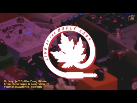 Oz Noy Live at The Maple Leaf | New Orleans Jazz Fusion