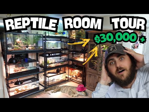 My CRAZY Reptile Collection! Room Tour 2025 (Updated)!