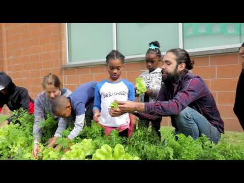 Grow Resilience: Food Access & Local Ag in Houston