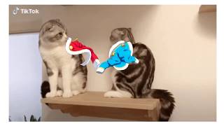 Download lagu Revue Starlight episode 10 spoiler mp3 Download lagu Revue Starlight episode 10 spoiler mp3