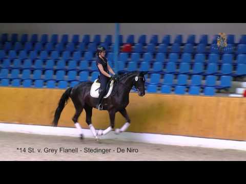 St v Grey Flanell x Stedinger x De Niro 2017