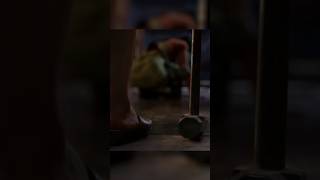 SUNFLOWER SEASON 2 IS HERE..  😃😃 |  @shaliniarnot ​