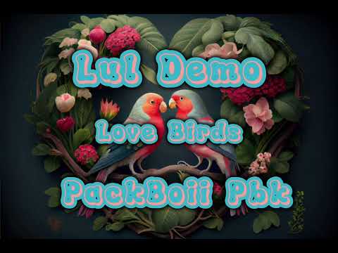Lul Demo x PackBoii Pbk - Love Birds