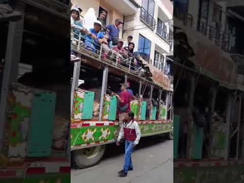 chivas del cauca.El Kaliman en Bolivar Cauca listo para salir