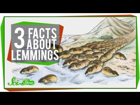 3 Facts About Lemmings