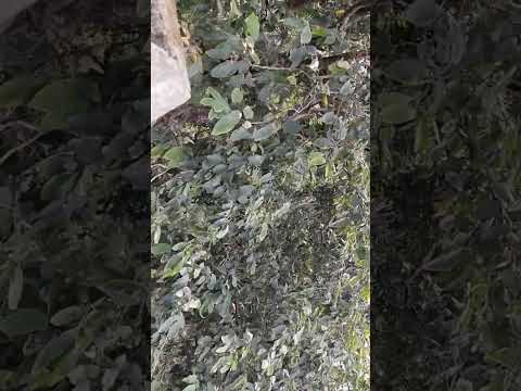 #sarandaJungle #turismo #curtir