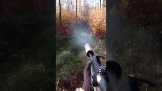 Schnelles Wildschwein auf Drückjagd!  #jagd #drückjagd #schwarzwild