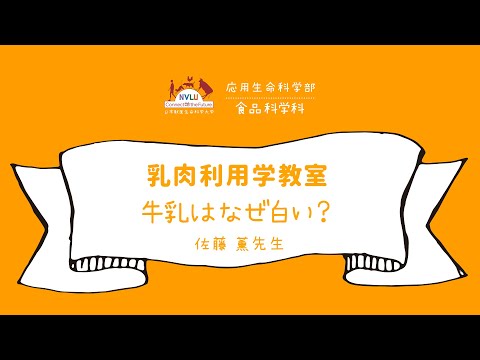 動物科学科 牛乳はなぜ白い？【日本獣医生命科学大学 応用生命科学部 １分動画 乳肉利用学教室】