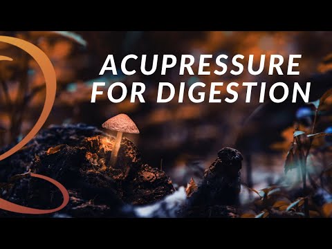 Acupressure for Digestion | Introduction to the Earth Element with Lee Holden