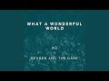 What A Wonderful World