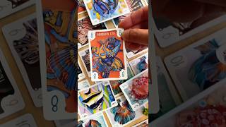 Sea Scroll video thumbnail