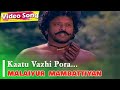 காட்டு வழி போற பொண்ணே கவலப்படாதே HD Ilayaraj