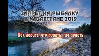 Когда запрет на рыбалку в алматы и области