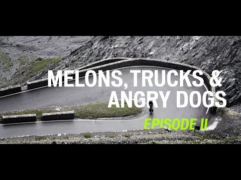 MELONS, TRUCKS & ANGRY DOGS: PART II
