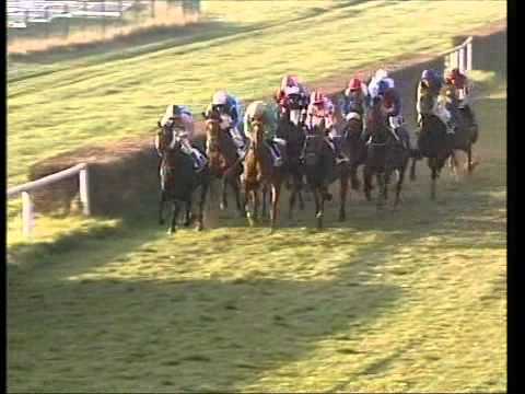 Galopprennbahn Dresden 16.11.2011 - 7.Rennen