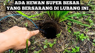 Download lagu Memancing Monster Yang Konon Katanya Bikin Takut Para Petani Ukurannya Benar Benar RAKSASA...!!  mp3