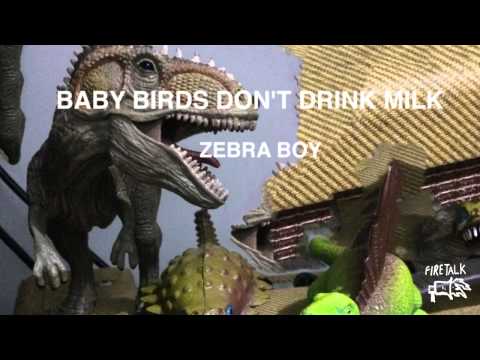 Baby Birds Don't Drink Milk - Zebra Boy (Official Audio)