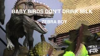 Baby Birds Don't Drink Milk - Zebra Boy (Official Audio)
