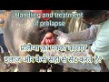 Treatment Of Prolapse प्रोलैप्स का पक्का कारगर इला�