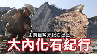 Re: [問卦] 沒人發現日本衰敗很快嗎？