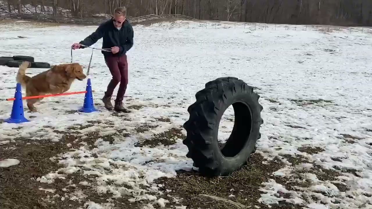 Agility Training is for all seasons