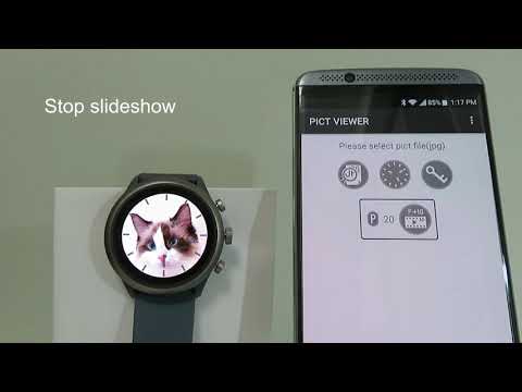 PICT VIEWER for WEAR