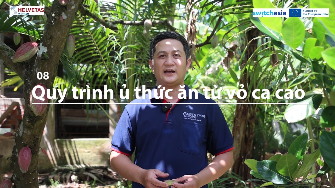 Quy trình ủ thức ăn chăn nuôi từ vỏ quả cacao