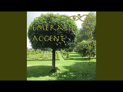 Cooley's Reel / Maid Behind the Bar / Castle Kelly