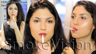 Denica SmokeVision3024 Preview