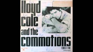 Lloyd Cole and The Commotions Forest fire version longue 1984