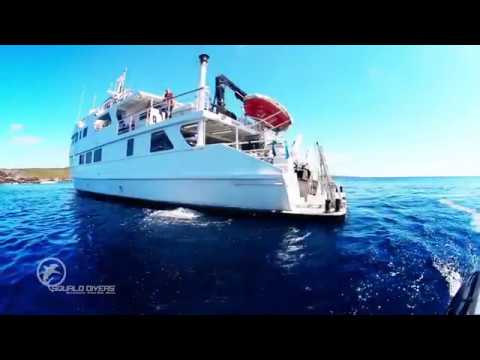 download lagu mp3 mp4 Aggressor Fleet Rates, download lagu Aggressor Fleet Rates gratis, unduh video klip Aggressor Fleet Rates