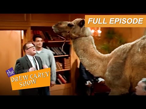 The Drew Carey Show Full Episode | Drew Gets Motivated | S1 E21