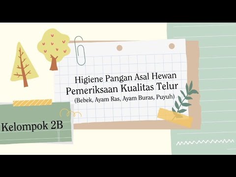 Pemeriksaan Kualitas Telur||Higiene Pangan Asal Hewan