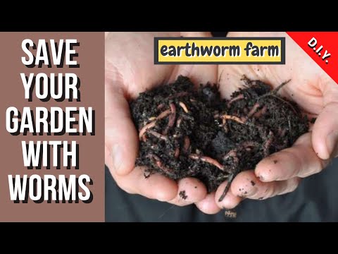 , title : '☑️ Earthworm farm (no cost) 🧺 Φάρμα σκουληκιών χωρίς κόστος 💶'