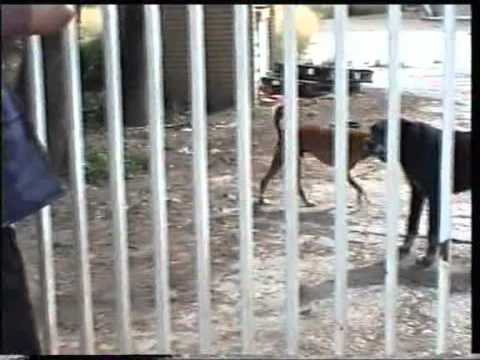 1999 00 Ebro en Cortes de Navarra