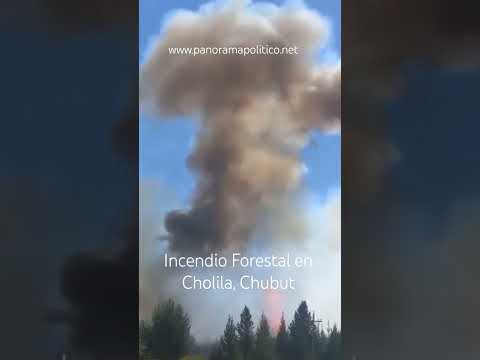 🛑🚨🧑‍🚒Incendio descontrolado sobre el camino al Lago Rivadavia. Cholila.Chubut. #chubut #incendios