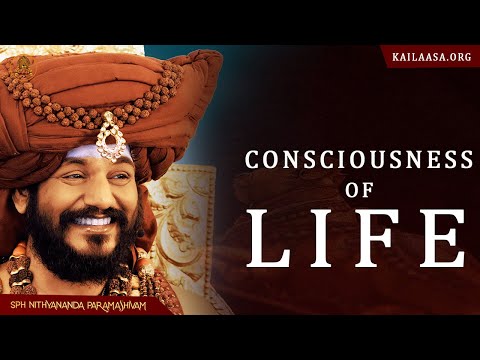 Into Deeper Consciousness - Shiva Sutras