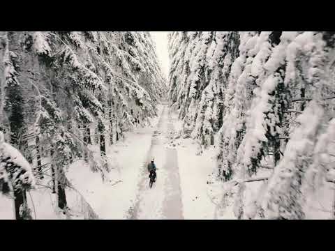 Winter MTB tour in Ardennes forest (Libramont)