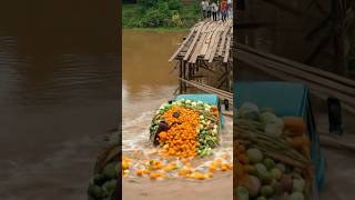 Download lagu Detik-Detik Truk Sayur & Jeruk Terjun ke Sungai Saat Jembatan Kayu Ambruk !! ⚠️#shorts mp3 Download lagu Detik-Detik Truk Sayur & Jeruk Terjun ke Sungai Saat Jembatan Kayu Ambruk !! ⚠️#shorts mp3