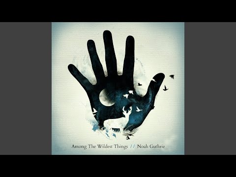 Learn From The Fall - Noah Guthrie