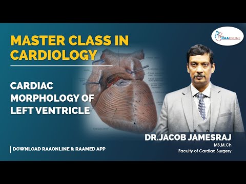 Cardiac Morphology Left Ventricle - Master Class in Cardiology