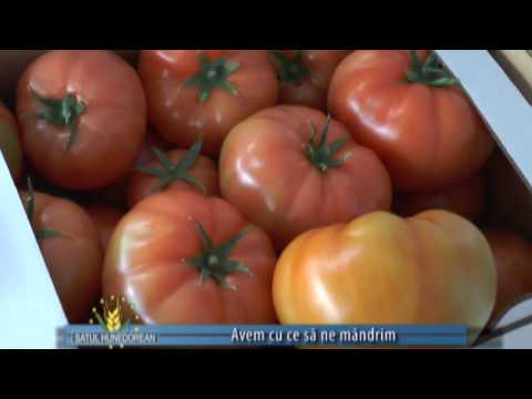 satul hunedorean 15 mai 2016