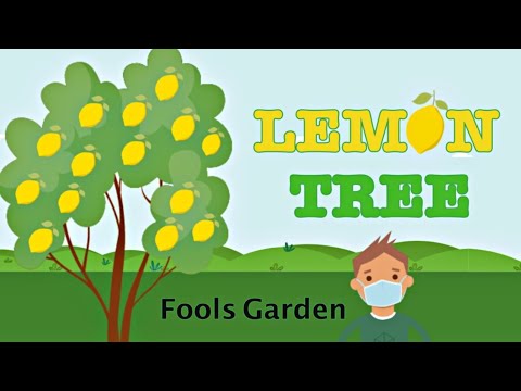 LEMON TREE Animation with Lyrics