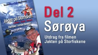 preview picture of video 'Havfiske på Sørøya - Del 2: Jakten På Storfisken,  sportsfiske i Finnmark, Sportfishing Norway'