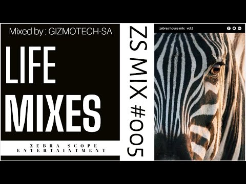 Zebras Deep House Mix || ZS MIX 005 || Johannesburg || RSA