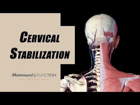 Cervical Spine Stabilization Exercises | Neck Strengthening for Spondylosis, Instability, Weakness