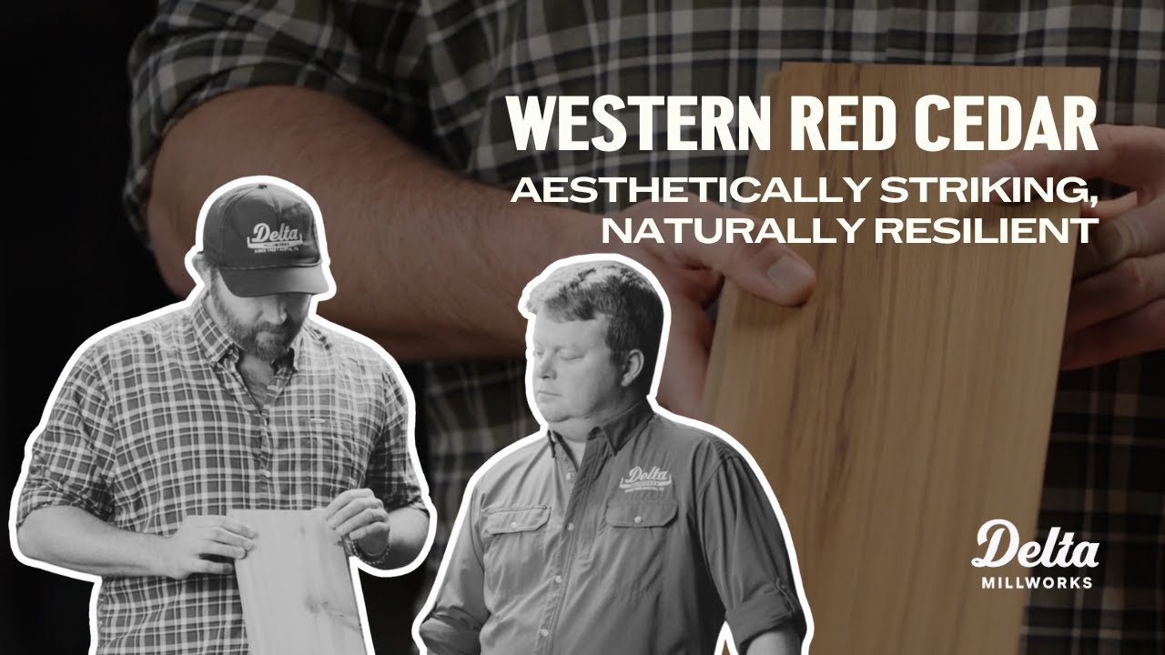 Western Red Cedar: Aesthetically Striking, Naturally Resilient