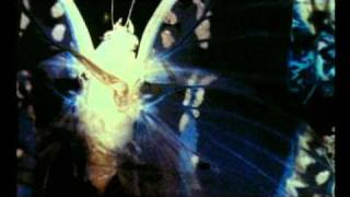 Moonspell - The Butterfly FX (subtitulado al español)