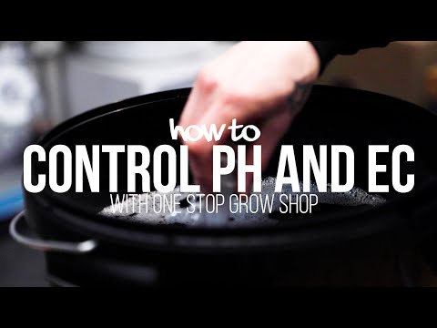 How to control pH and EC levels